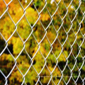 Diamond Chain Link Fence for private zone